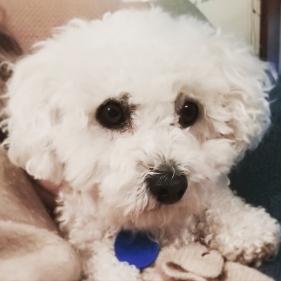 💕 BADGE MAKING REQUESTS 💕 - Picture 6 of 16